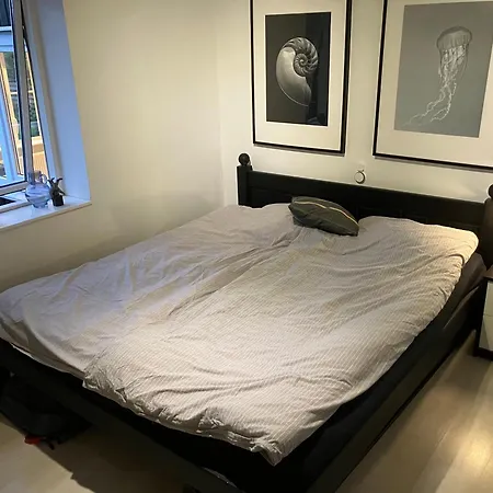 Friheden Løgstør